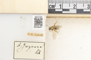 Media type: image;   Entomology 768647 Aspect: Labels